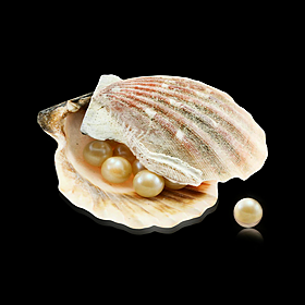 Rare pearl found in Irish oyster - how? Image