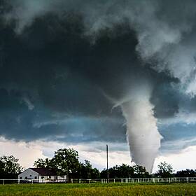 Garlic Dip Watch, And A Tornado In Cork Image