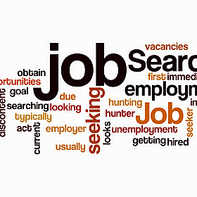 A need to expand the Critical Skills Occupations List Image