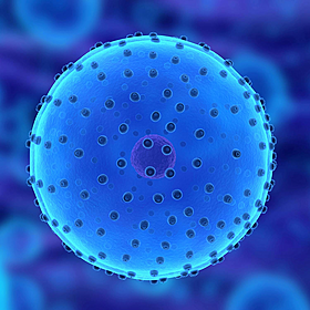 Fascinating facts about our human cell atlas! Image