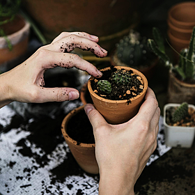 The Home Squad: Making the indoors feel like the outdoors Image