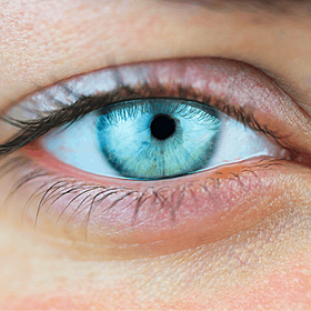 AMD Awareness Week Image