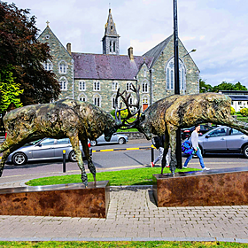 We chat all things Killarney! Image