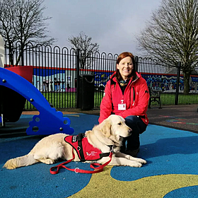 How autism assistance dogs are trained Image