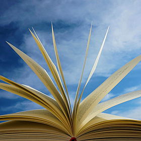 The Bookshelf with Donal Fallon Image