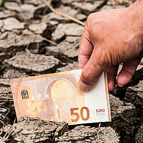 Does it cost too much to go green? Image