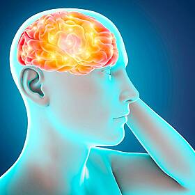 Brain health with Professor Brian Lawlor Image