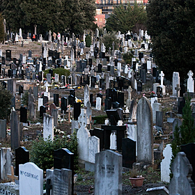 Glasnevin Cemetery to run Queer History Tours Image