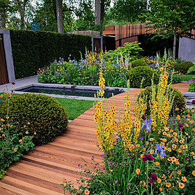 Gardening Stories: The history of the Chelsea Flower show Image