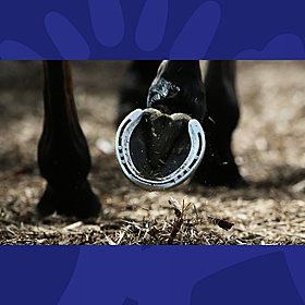 Gift Grub: Horse Show Nostalgia! Image