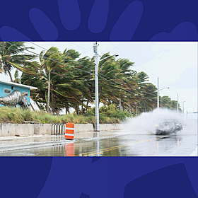 The Last Word On The Environment: Hurricane Milton Blows In On A Wave Of Disinformation Image