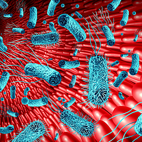 We discuss Antimicrobial Resistance Image