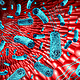 International Union of Immunological Societies meeting 2023