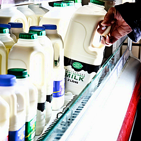 The Shopping Trolley Hotline: Milk Image