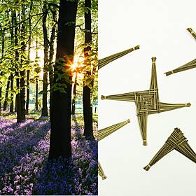 Seasonal Debates, And The History Of St. Brigid (According To Ray) Image