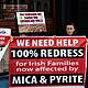 The formation of a new political party: The 100% Redress Party