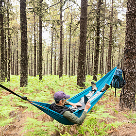 Industry Review: Remote Working Image