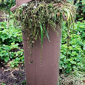 New brown bin legislation Image