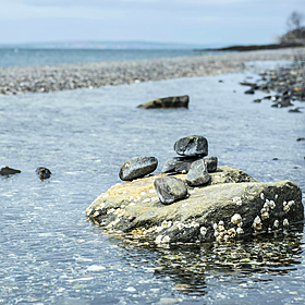 Protecting Ireland's marine ecosystems Image