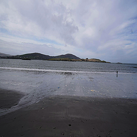 62-foot whale washes up on Kerry beach Image