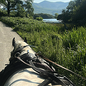 The magical tour of Killarney National Park Image