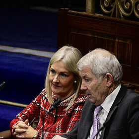 Dáil Fallout Image