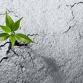Ecocem, ‘Cement: Raising Ambitions, Reducing Emissions’, Image