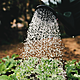 Ask The Expert: Gardening