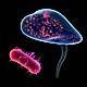 Futureproof Extra: Exploring why UTIs persist with artificial bladders