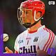 Anthony Nash: "I don't see Limerick trouncing Kilkenny" | The "perfect" League final for fans