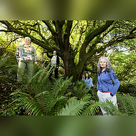 The Forest That Won’t Forget - A Cervical Check Memorial Image