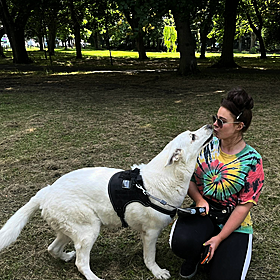 Are We Too Affectionate with Our Pets? Image