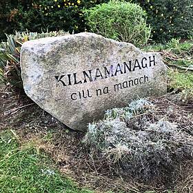Eyewitness Reveals Chilling Threat Made by Racist Tallaght Gang Before Brutal Assault Image