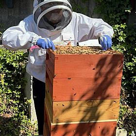 The bee keepers at Dublin Bus Image
