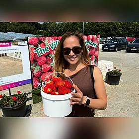 Picking Wexford strawberries - Henry McKean Reports Image