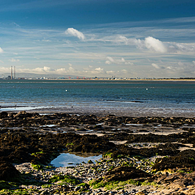 Calls for a Dublin Bay greenway Image