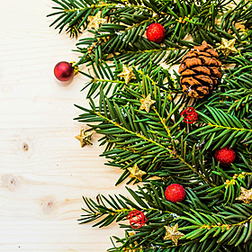 Should you get a real or fake Christmas tree? Image