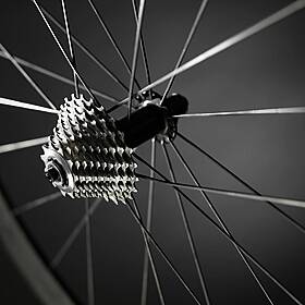 Industry Review: Bike Shops Image