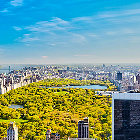 Gardening stories: Central Park in New York City Image