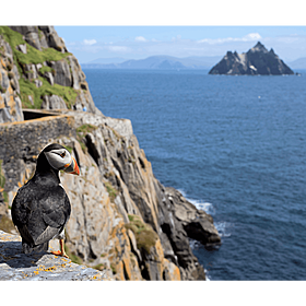 Concerns over the recent closure of Skellig Michael is having on wildlife and local tourism there Image