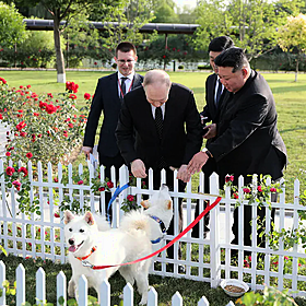 The history of dictators’ pets Image