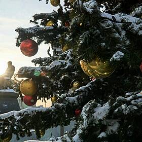 So, You Think You're an Adult: My housemate wants to put up Xmas decorations already Image