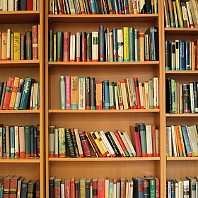 The Bookshelf with Katriona O’Sullivan Image