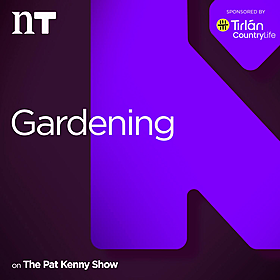 Gardening Stories: Building Dreams in the Dublin Mountains Image
