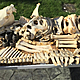 Using a full-size horse skeleton to make music