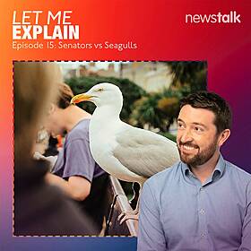 15. Senators vs Seagulls Image