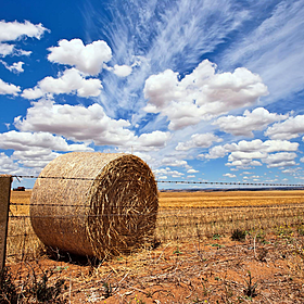 Reducing climate emissions and improving on farm efficiency Image