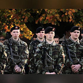 Should the Government invest more in the Reserve Defence Forces? Image