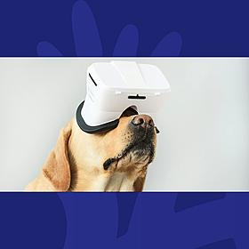 Tech Thursday: Can AI Translate What Your Pet is Trying to Tell You? Image