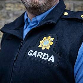 Man Who Assaulted Garda Moans That He Can't Get a Job Now Over Conviction Image